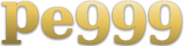 pe999 logo